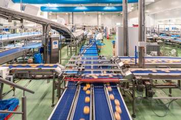 Usine Poppies Bakery à Laudun L'ardoise