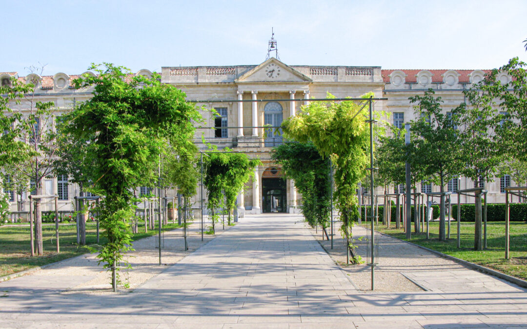 Université Avignon | Avignon 84